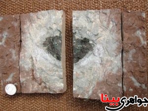 کشف سنگ فضایی در معدن سوئد