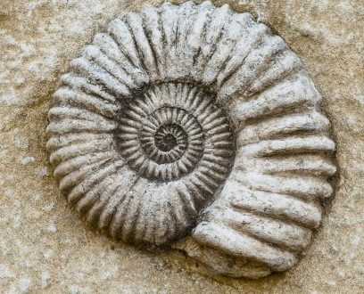 Related image
