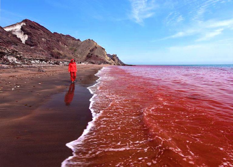 ساحل سرخ جزیره هرمز