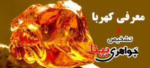 معرفی کهربای اصلی