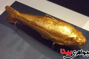 ماهی طلا در گنجینه آمودریا