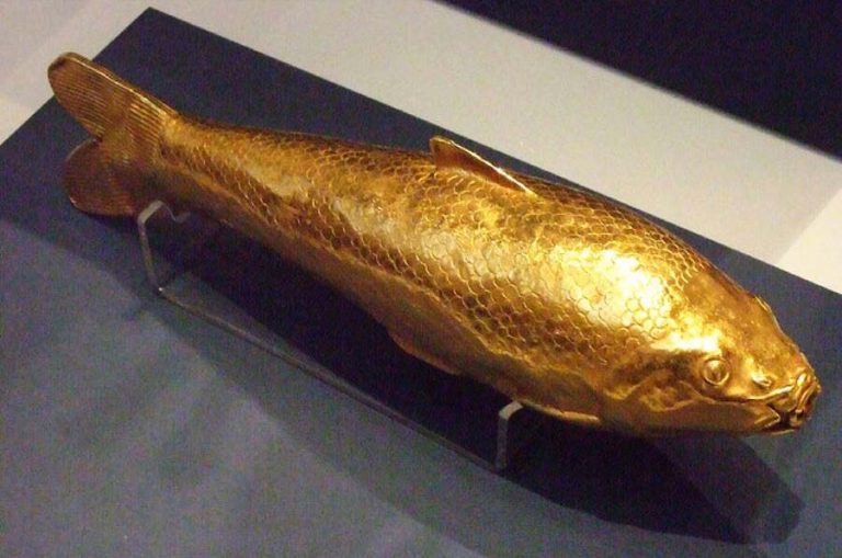 ماهی طلا در گنجینه آمودریا