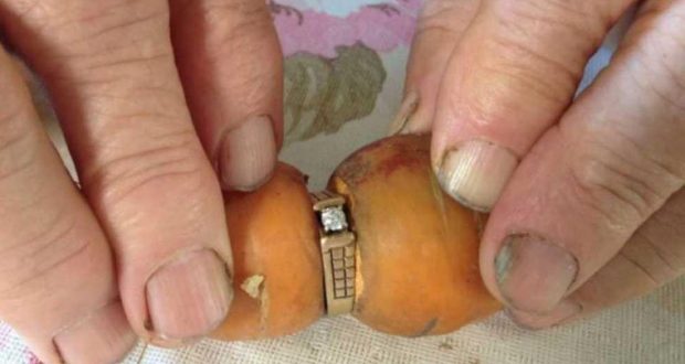 پیدا شدن حلقه ازدواج الماس در هویج پس از 13 سال