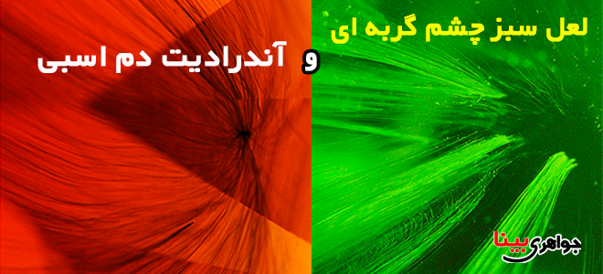 لعل سبز چشم گربه ای و آندرادیت دم اسبی