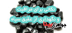 عقیق
