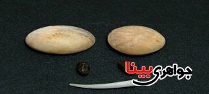 خواص مهره مار