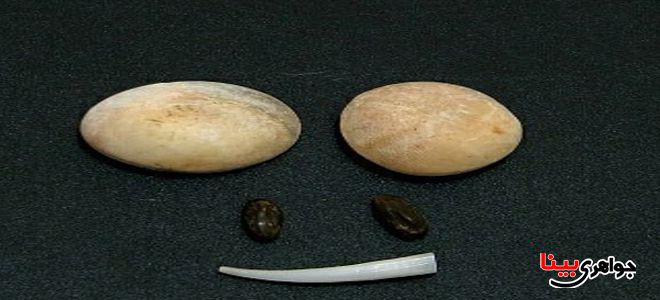 خواص مهره مار