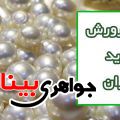 مروارید