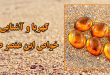 کهربا