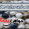 مروارید