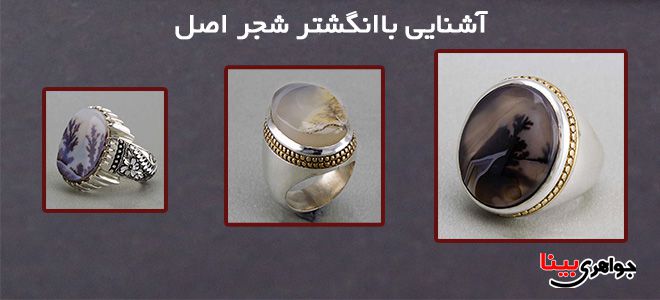انگشتر شجر